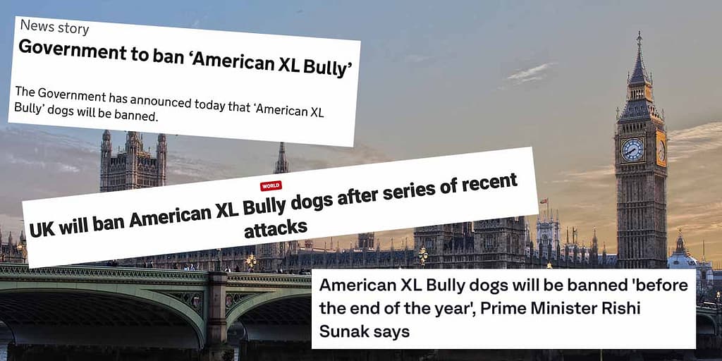 Headlines showing the proposed UK ban on American XL Bully dogs following a spate of attacks