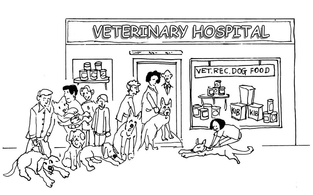 Cartoon/Illustration of a queue of dog owners and their pets outside a veterinary clinic.