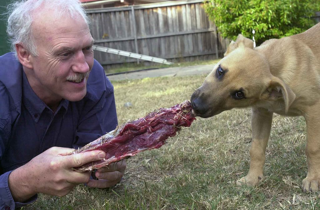 Tom Lonsdale feeding a dog a raw meaty bone
