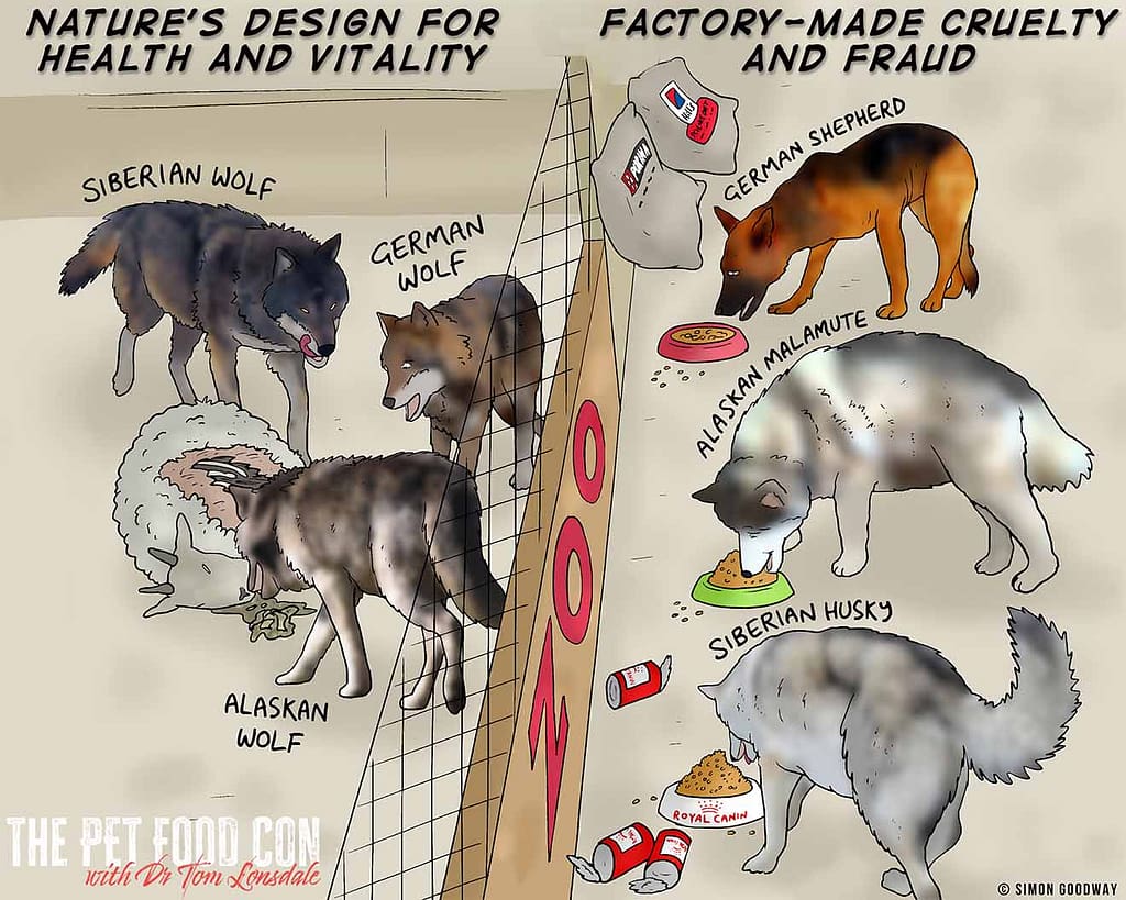 A cartoon depicting the differences between natural and factory made pet foods.