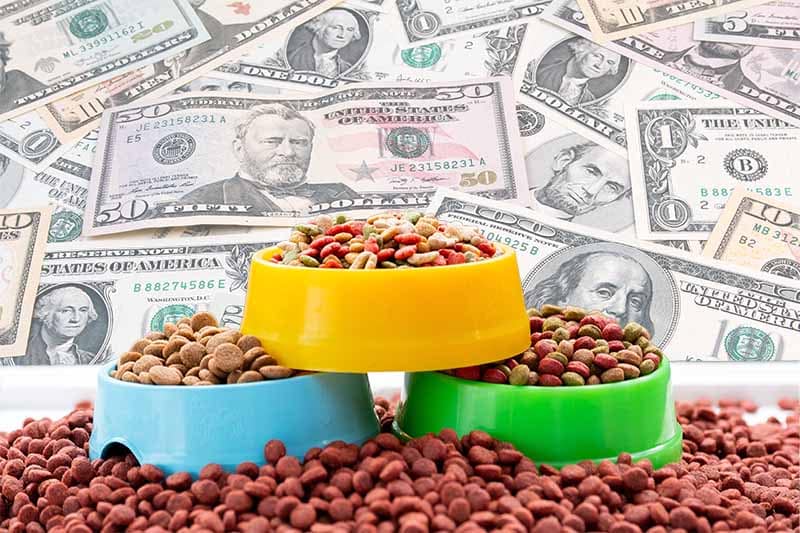 Graphic of Kibble-style pet food in front of U.S. Dollars.