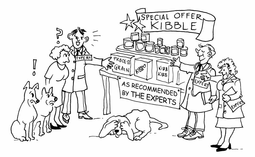 Cartoon/Illustration depicting vets recommending Kibble pet food "As recommended by the experts".